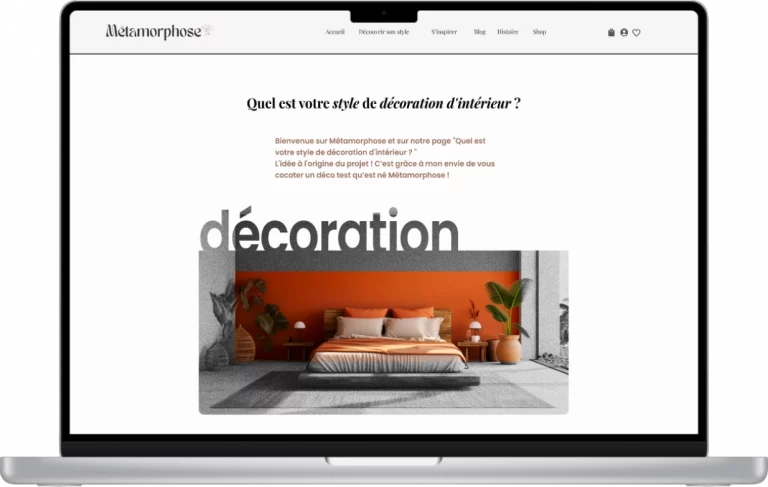 Maquette questionnaire metamorphose